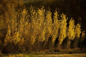 اَلِشتَر؛ تابلوی زنده پاییز در قلب زاگرس
