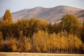 اَلِشتَر؛ تابلوی زنده پاییز در قلب زاگرس
