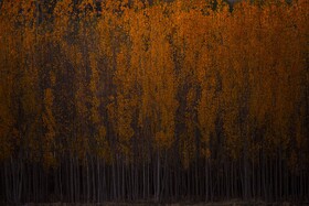 اَلِشتَر؛ تابلوی زنده پاییز در قلب زاگرس
