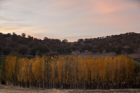 اَلِشتَر؛ تابلوی زنده پاییز در قلب زاگرس
