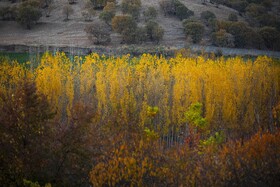 اَلِشتَر؛ تابلوی زنده پاییز در قلب زاگرس
