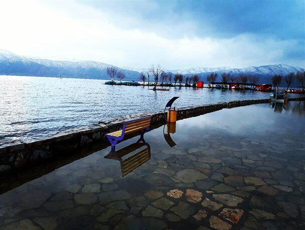 تپش زندگی در نگین غرب؛ وقتی حالِ خوش «زریوار» آرزوی تالابهای ایران است+ فیلم