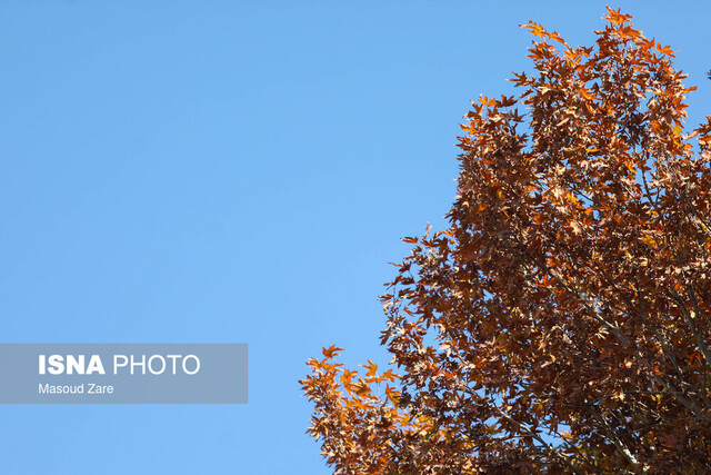 شکسته شدن رکورد ۷۴ ساله گرمای هوا در بهمن کرمانشاه