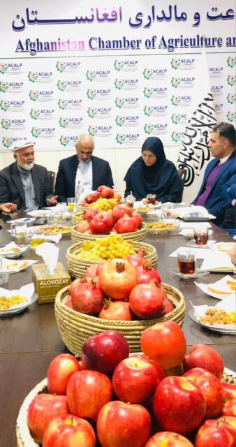 درخواست طالبان از ایران برای دریافت تسهیلات تجارت در زمینه شیلات و آبزیان دریایی