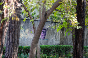 اصفهان همچنان چشم انتظار پاییز