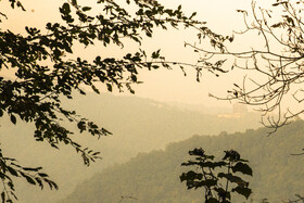 فصلِ گذار؛ وقتی رنگ‌ها آرام فرو می‌ریزند