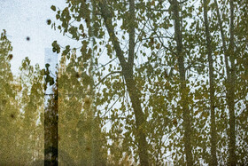 فصلِ گذار؛ وقتی رنگ‌ها آرام فرو می‌ریزند