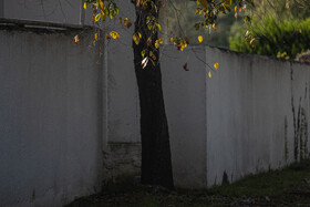 فصلِ گذار؛ وقتی رنگ‌ها آرام فرو می‌ریزند