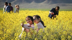 فارس در مسیر توسعه گردشگری تخصصی و تجربه‌محور کشاورزی