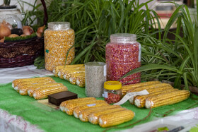 سیزدهمین نمایشگاه دستاوردهای پژوهش، فناوری و فن‌بازار استان البرز