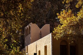 چنارهای سرخ‌پوش پهلوان‌پور