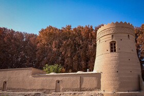 چنارهای سرخ‌پوش پهلوان‌پور