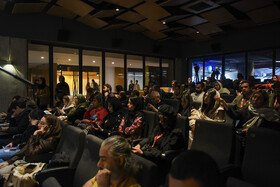 ششمین روز از جشنواره جهانی فبلم فجر - شیراز