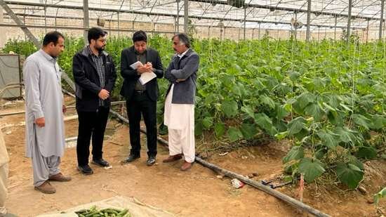 اجرای طرح پایش سموم و آلاینده‌های محصولات کشاورزی سیستان‌ و بلوچستان