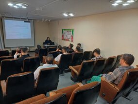 رشد زنبورداری؛ از گردهافشانی تا تکنیکهای مدرن تولید عسل