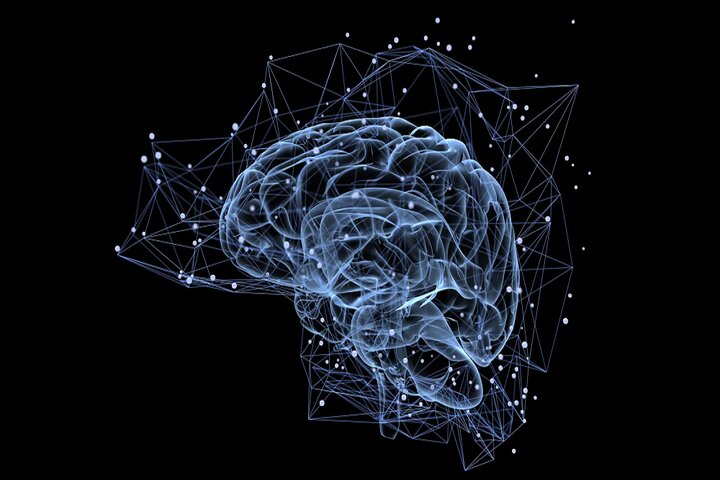 ریاضیات تغییر اتصال مغز در اوتیسم و پیری را آشکار کرد