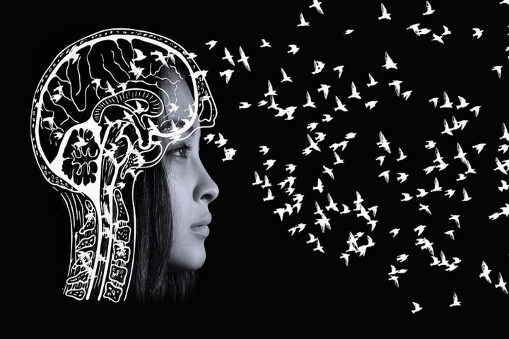 چرا برخی از خاطرات یک عمر باقی می‌مانند و برخی زود محو می‌شوند؟