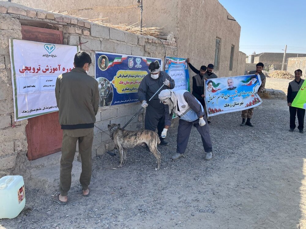 افزایش ۸۸ درصدی پوشش واکسیناسیون هاری در سیستان و بلوچستان