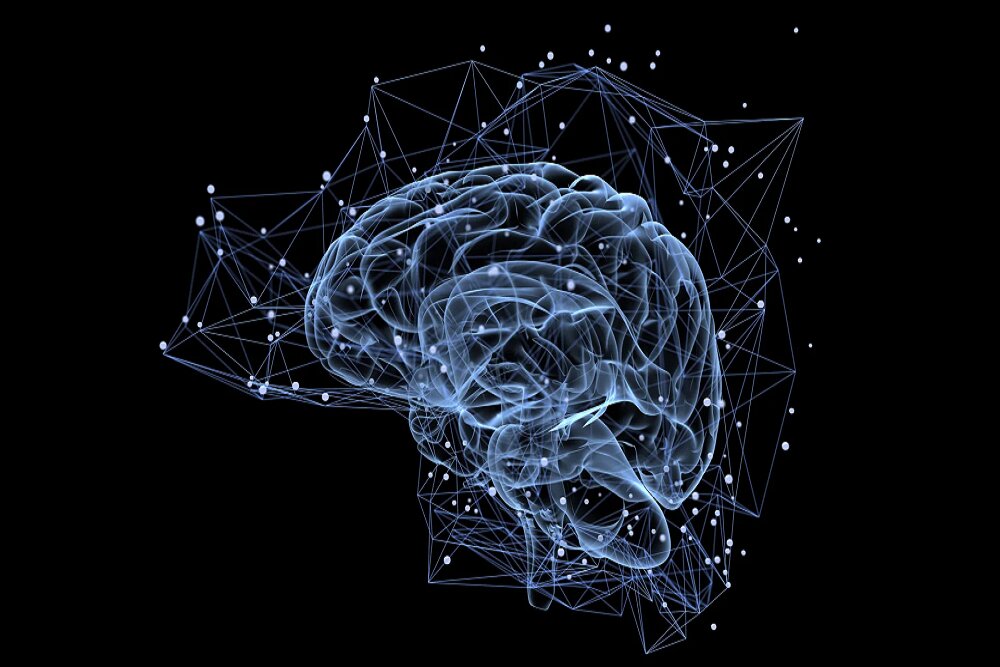 مداری پنهان در مغز دید بصری ما را بازنویسی می‌کند