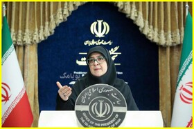 حامی واردات خودروی کم‌مصرف هستیم/تاکسی‌های شهری و اینترنتی افرایش قیمت ندارند