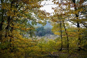 طبیعت پاییزی النگدره؛ مقصد محبوب مردم در این روزها طبیعت پاییزی النگدره؛ مقصد محبوب مردم در این روزها