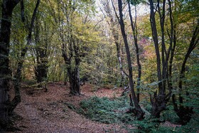 طبیعت پاییزی النگدره؛ مقصد محبوب مردم در این روزها