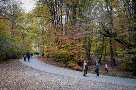 طبیعت پاییزی النگدره؛ مقصد محبوب مردم در این روزها