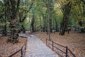 طبیعت پاییزی النگدره؛ مقصد محبوب مردم در این روزها