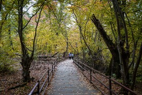 طبیعت پاییزی النگدره؛ مقصد محبوب مردم در این روزها