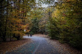 طبیعت پاییزی النگدره؛ مقصد محبوب مردم در این روزها