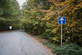 طبیعت پاییزی النگدره؛ مقصد محبوب مردم در این روزها طبیعت پاییزی النگدره؛ مقصد محبوب مردم در این روزها