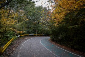 طبیعت پاییزی النگدره؛ مقصد محبوب مردم در این روزها طبیعت پاییزی النگدره؛ مقصد محبوب مردم در این روزها