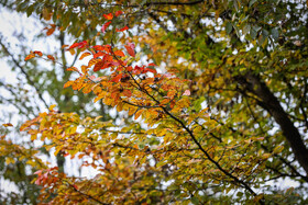 طبیعت پاییزی النگدره؛ مقصد محبوب مردم در این روزها