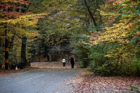 طبیعت پاییزی النگدره؛ مقصد محبوب مردم در این روزها