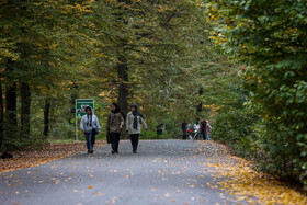 طبیعت پاییزی النگدره؛ مقصد محبوب مردم در این روزها طبیعت پاییزی النگدره؛ مقصد محبوب مردم در این روزها