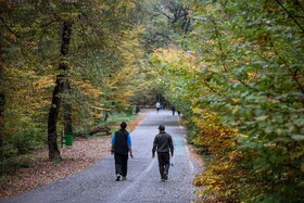 طبیعت پاییزی النگدره؛ مقصد محبوب مردم در این روزها