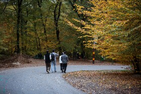 طبیعت پاییزی النگدره؛ مقصد محبوب مردم در این روزها طبیعت پاییزی النگدره؛ مقصد محبوب مردم در این روزها