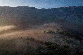 رنگ‌های زاگرس؛ پاییز پیرتو