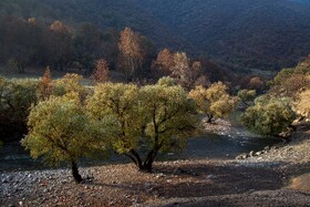 رنگ‌های زاگرس؛ پاییز پیرتو