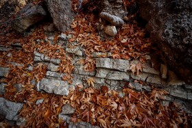 رنگ‌های زاگرس؛ پاییز پیرتو