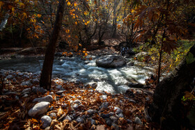 رنگ‌های زاگرس؛ پاییز پیرتو