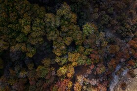 رنگ‌های زاگرس؛ پاییز پیرتو