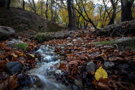 رنگ‌های زاگرس؛ پاییز پیرتو