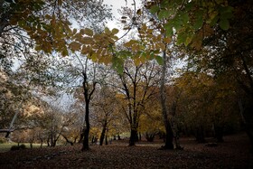 رنگ‌های زاگرس؛ پاییز پیرتو