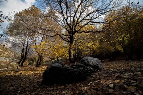 رنگ‌های زاگرس؛ پاییز پیرتو