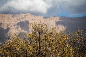 رنگ‌های زاگرس؛ پاییز پیرتو