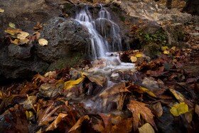 رنگ‌های زاگرس؛ پاییز پیرتو