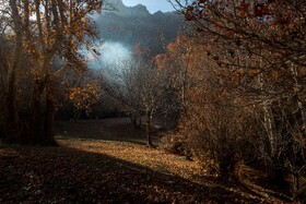 رنگ‌های زاگرس؛ پاییز پیرتو