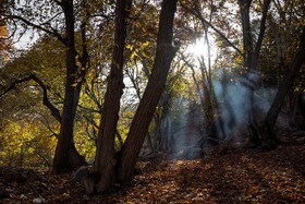 رنگ‌های زاگرس؛ پاییز پیرتو