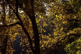 رنگ‌های زاگرس؛ پاییز پیرتو